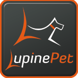 Lupine Collars and Leads